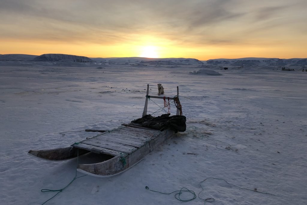 Sunset over snowy landscape in Greenland