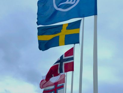 nordic flags