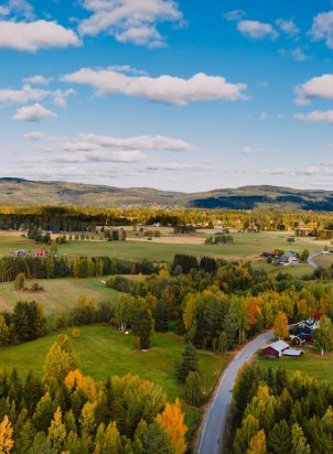 green grass field under blue sky during daytime