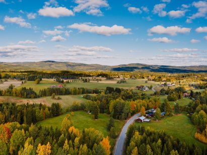 green grass field under blue sky during daytime