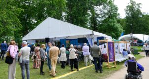 Lampa festival crowd, 2025