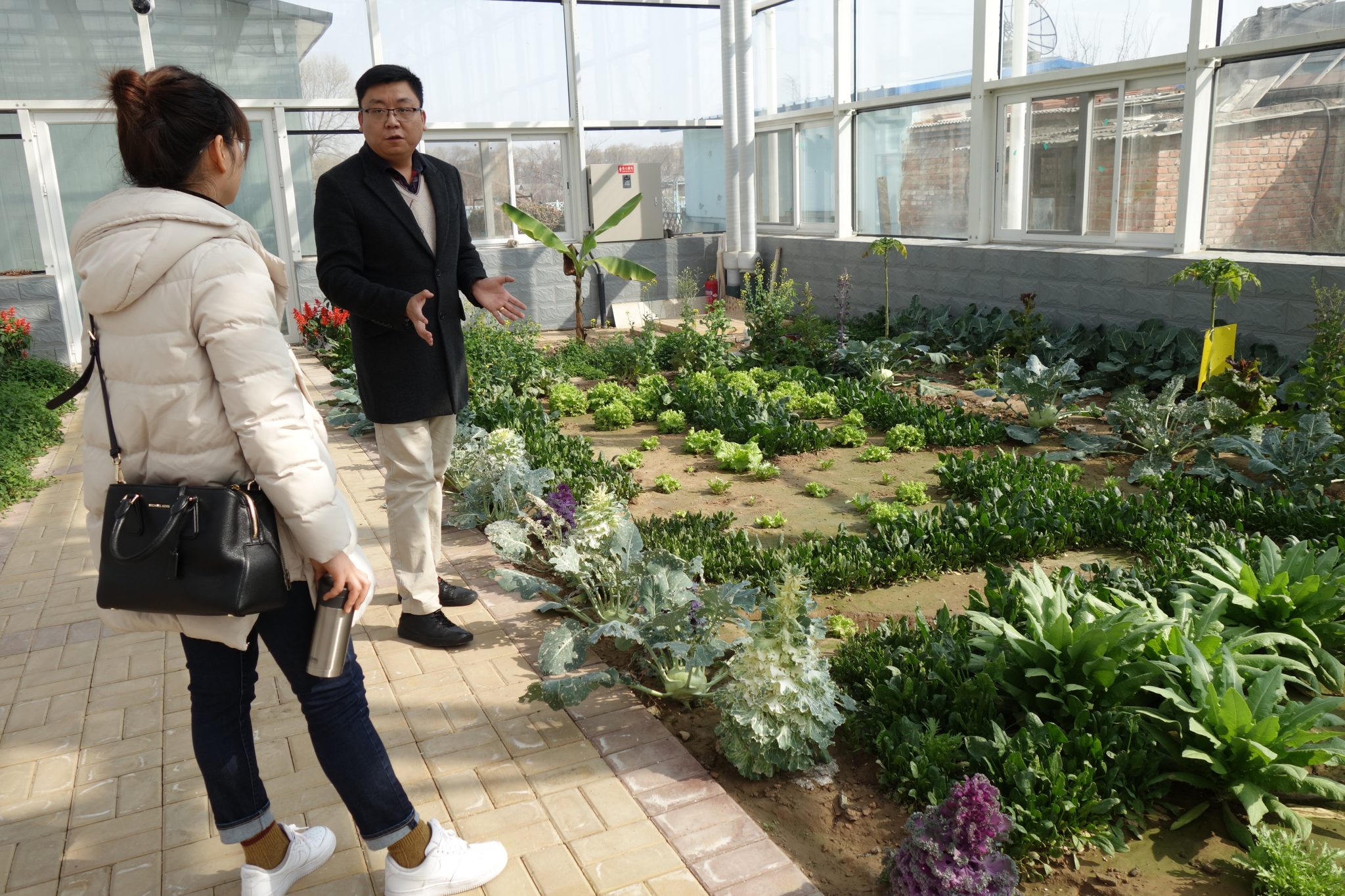 Urban farming in China